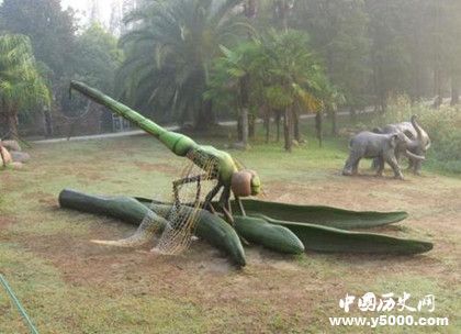 单细胞是如何演变成生物的，单细胞用多长时间演变的？