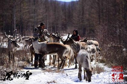 电影沉默的雪人物剧情内容介绍沉默的雪什么时候上映