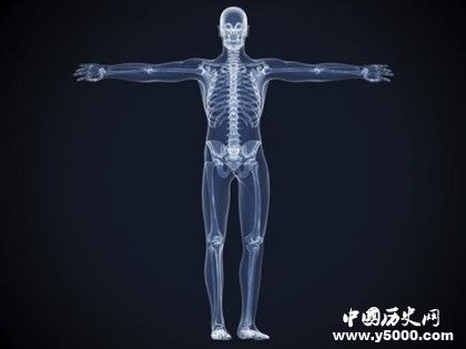 具有透视功能的女孩是谁为什么会有透视功能能看到什么