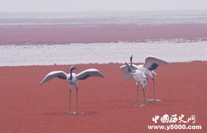 辽宁省简介辽宁省历史发展过程气候环境自然资源介绍