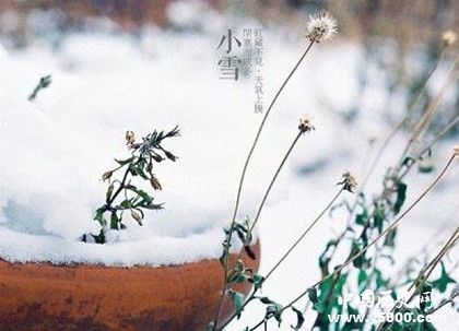 小雪节气的诗歌有哪些 小雪节气诗歌大全